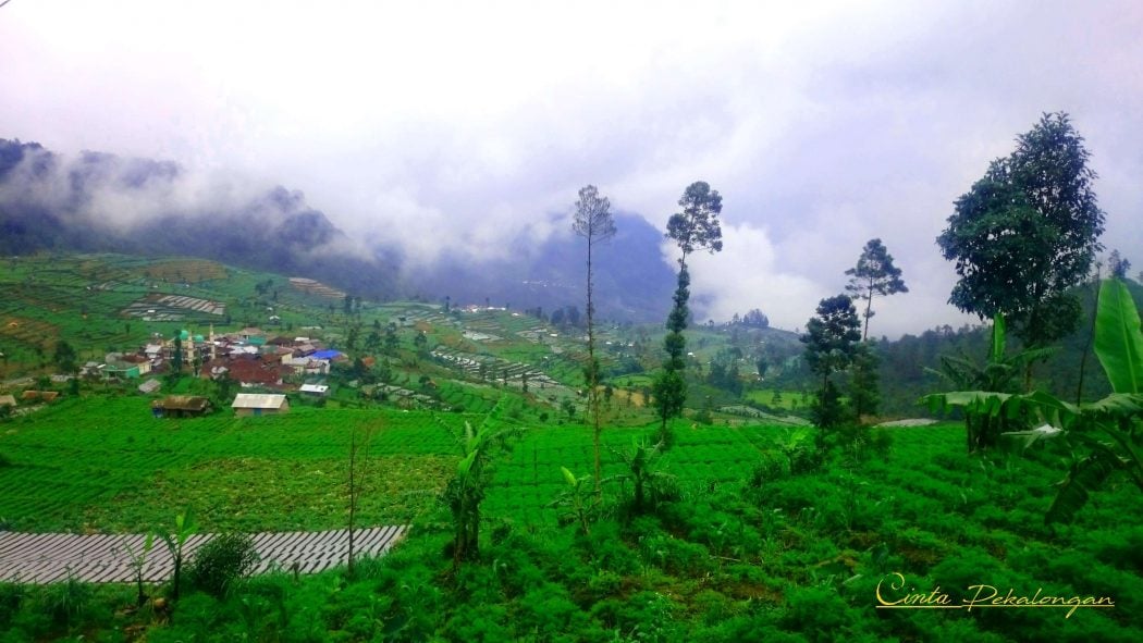 Desa di Dusun Mangunan