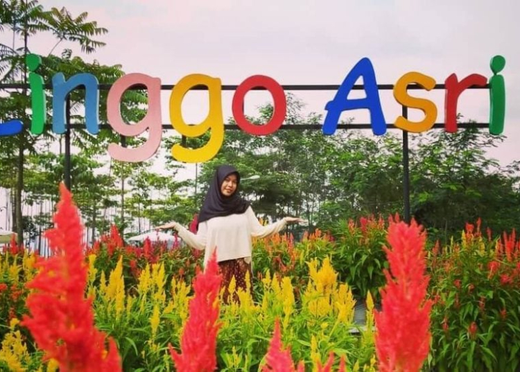 Taman Bunga Celosia Linggo Asri