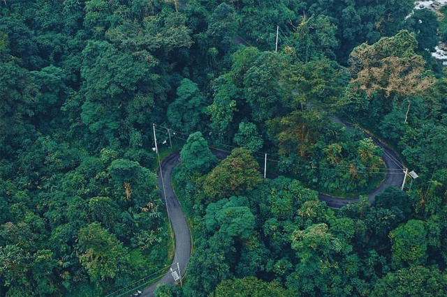 Hutan Petungkriyono
