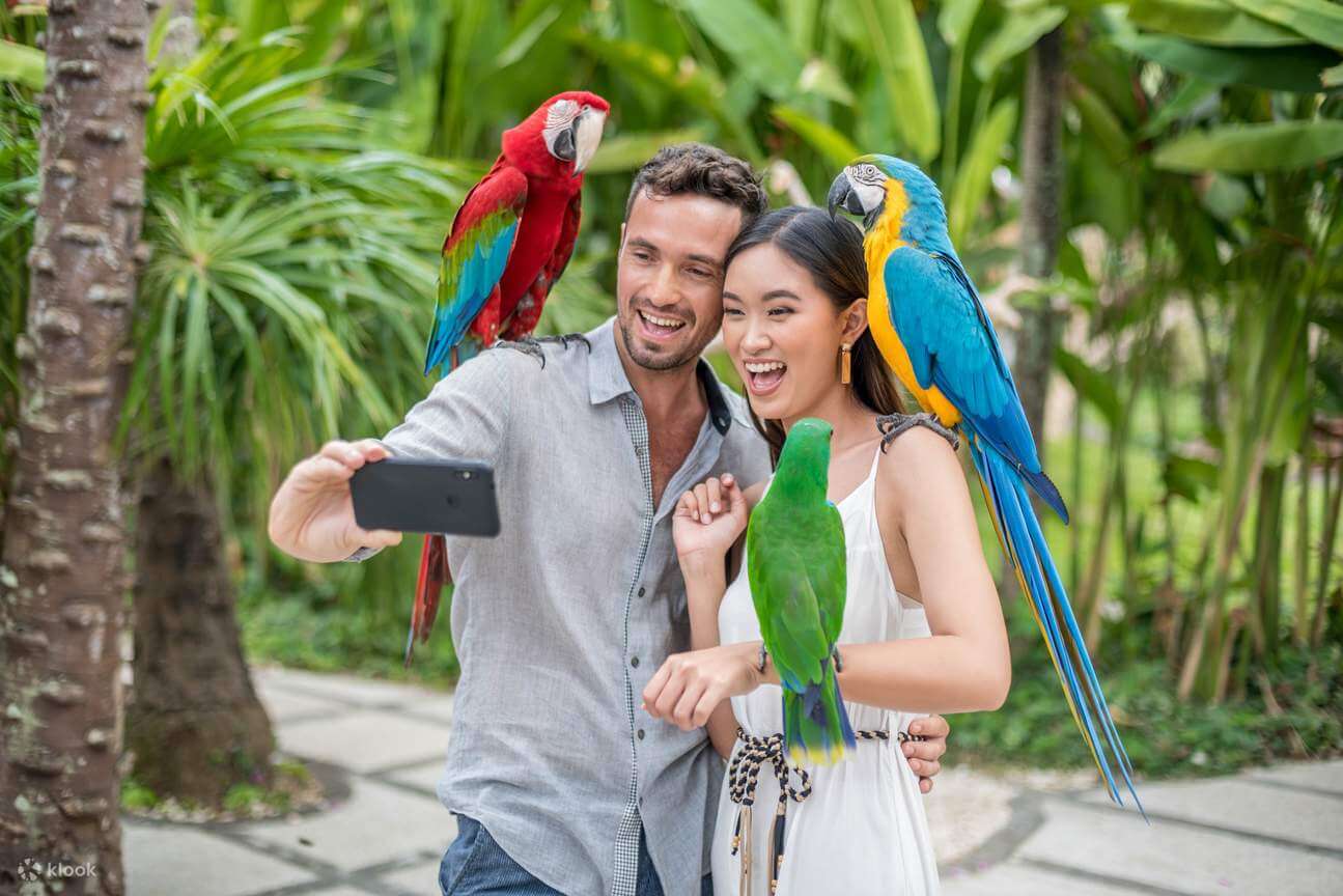 Alternatif Wisata Anak dan Keluarga di Bali - Bali Bird Park